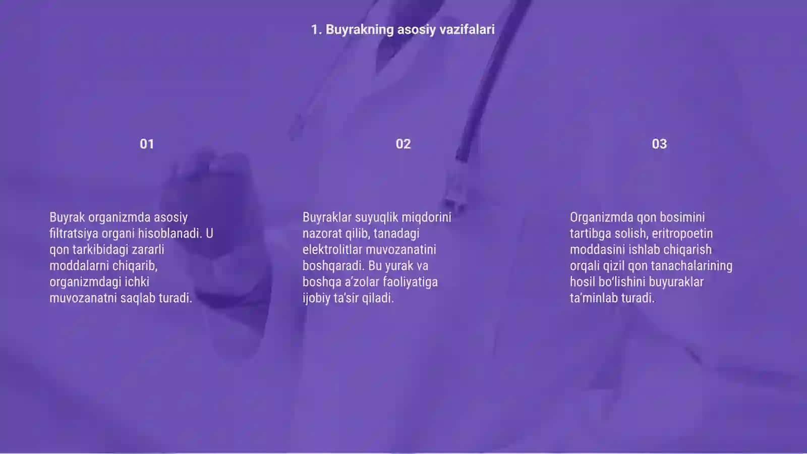 Buyrak tuzilishi anatomyasi va ichki holati 3