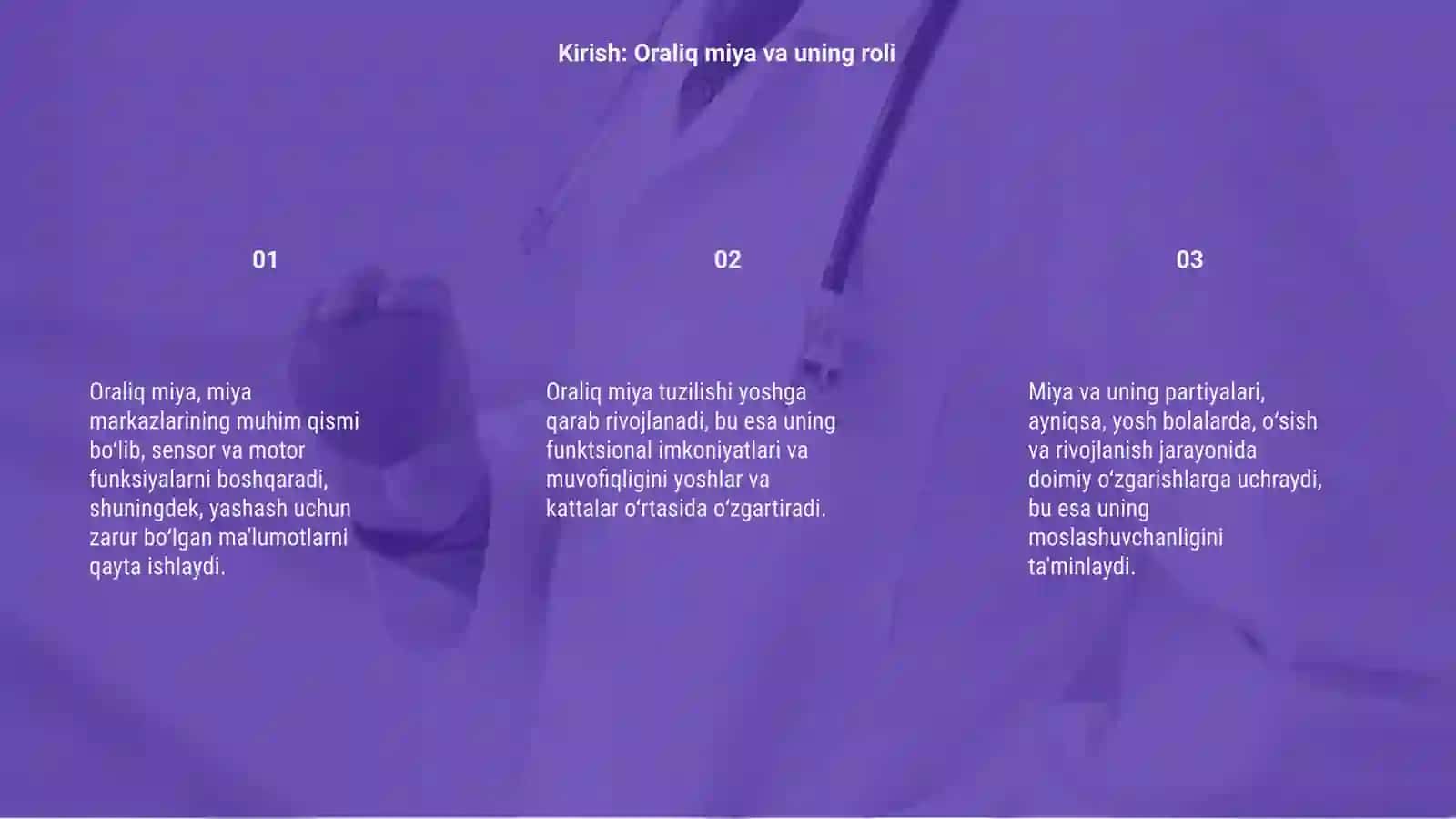 Oraliq miya kuruv boʻrtigʻi tuzilishi va yoshga qarab oʻzgarishi 3