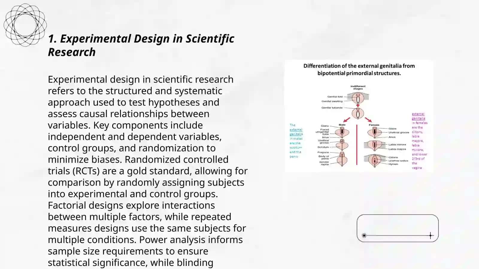SCIENTIFIC RESEARCH WORK.MAIN FEATURE,FUNCTIONS,TYPES OF SCIENTIFIC METHODS 3