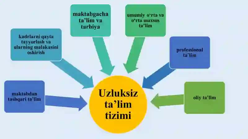 Maktabgacha ta’lim, umumiy o‘rta ta’lim hamda professional ta’limni rivojlantirish 3