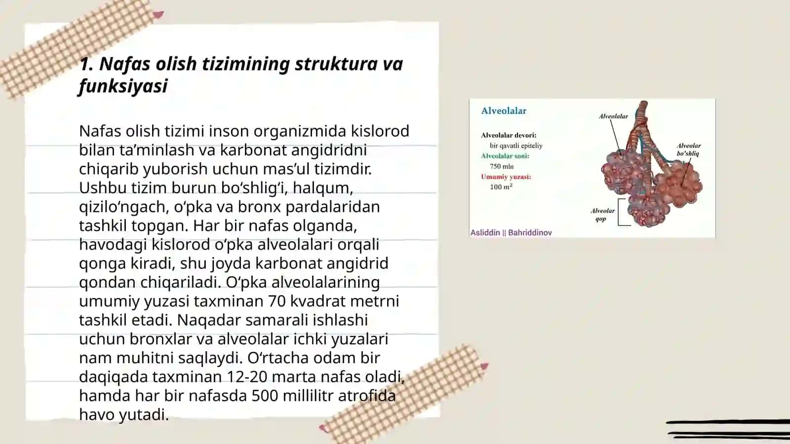 To'qimalarda gaz almashinuvi.Nafasning boshqarilishi 3