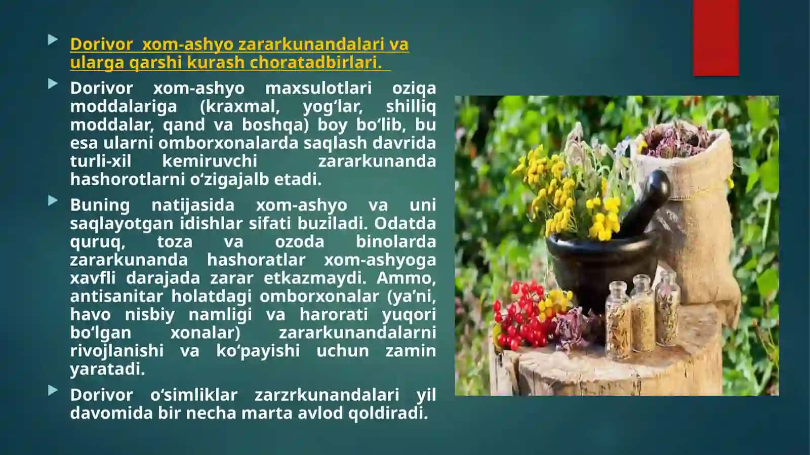 DORIVORXOM-ASHYO ZARARKUNANDALARI VA ULARGA QARSHI KURASH CHORA-TADBIRLARI 3