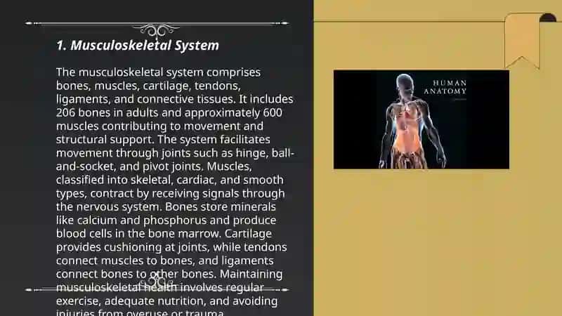 Musculoskeletal System 3