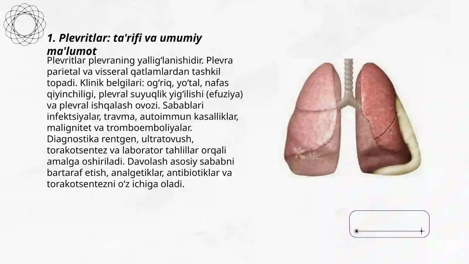 Plevritlar 3