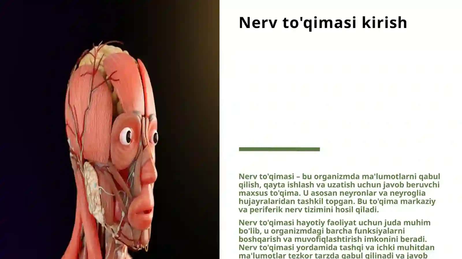 NERV TO’QIMASI-NEYRONLAR TURLARI HAQIDA 3