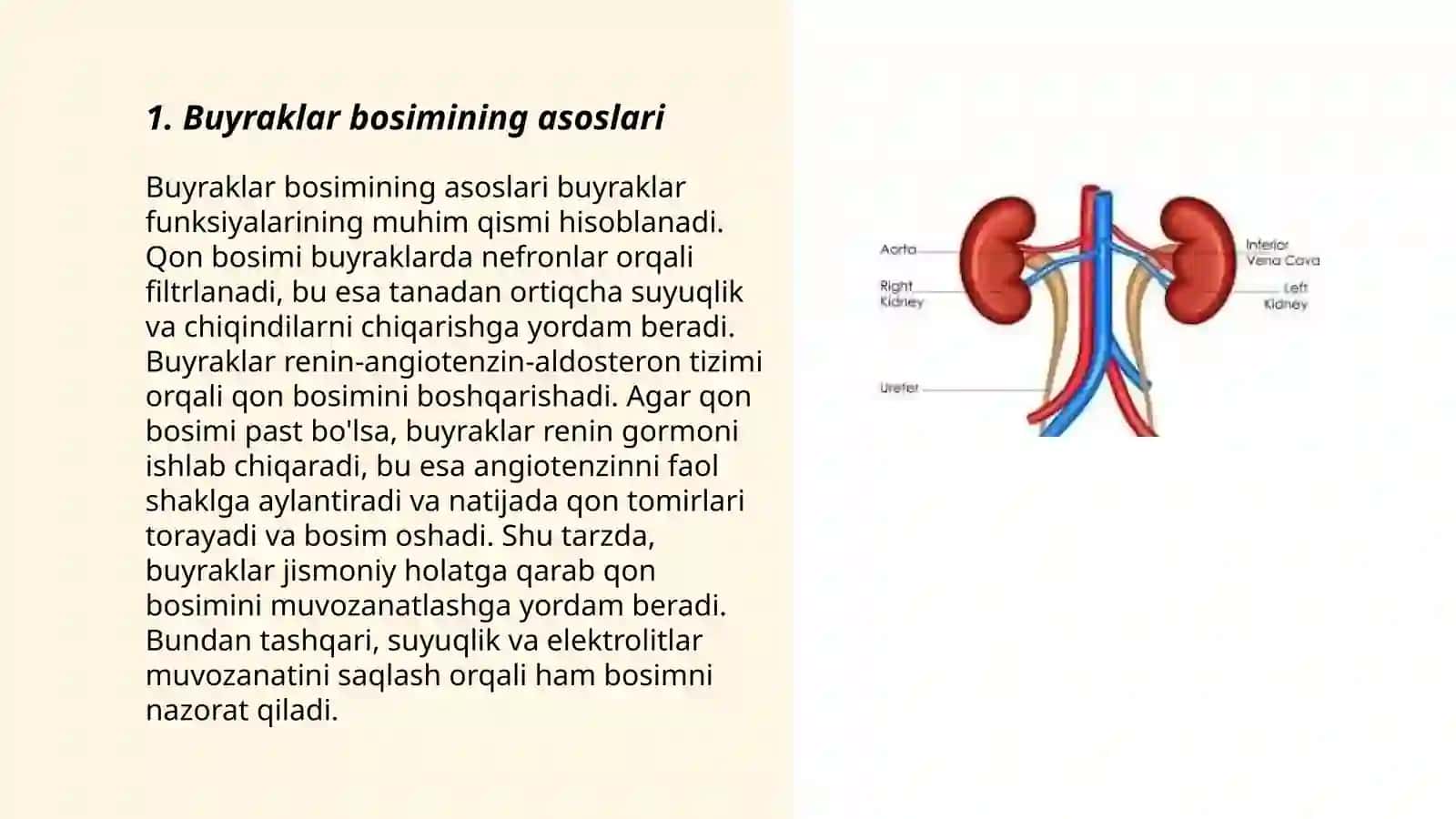 Buyraklar bosimi fiziologiyasi 3