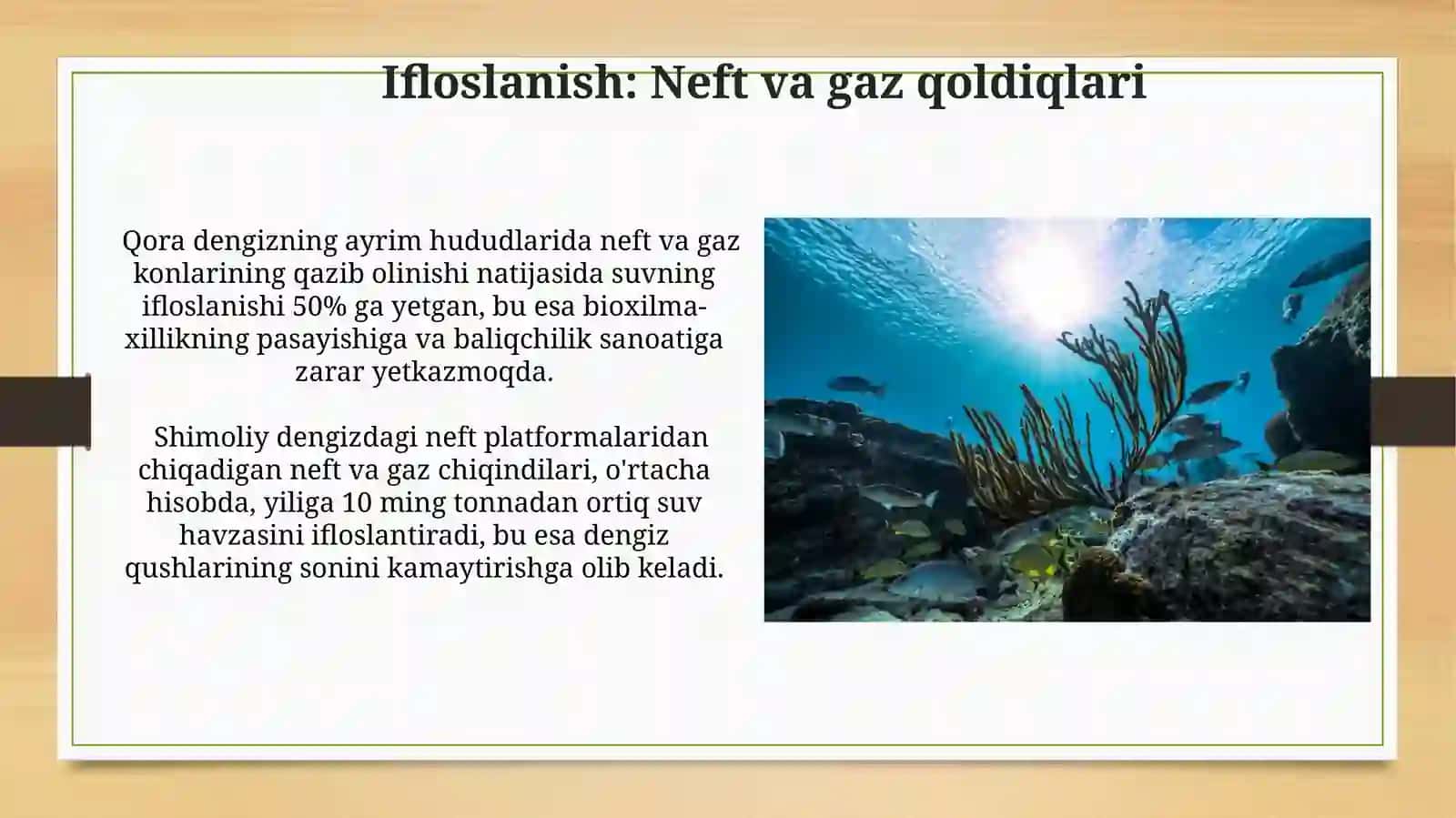 Dunyo okeanlarining ekologik muammolari va ularni bartaraf etish yoʻllari 3