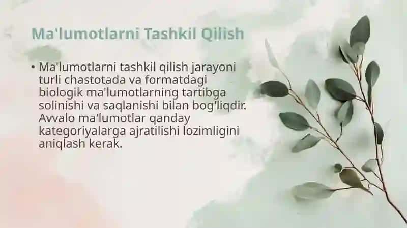 Tibbiy biologik masalani yechish misolida ma'lumotlarni tashkil qilish va kiritish 3
