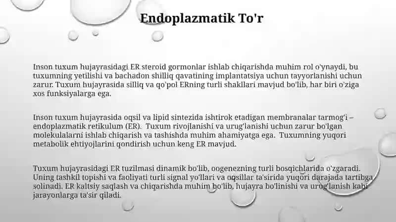 Inson tuxum hujayralarining strukturas: ER va organellalar 3
