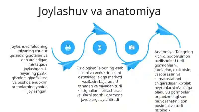 O'simliklar fiziologiyasi 3