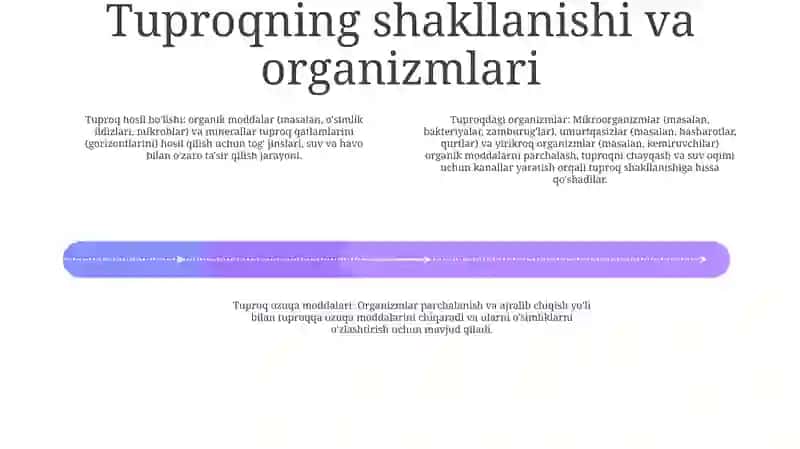Organizmlar Va Tuproq Hosil Qiluvchi Jinslar 3