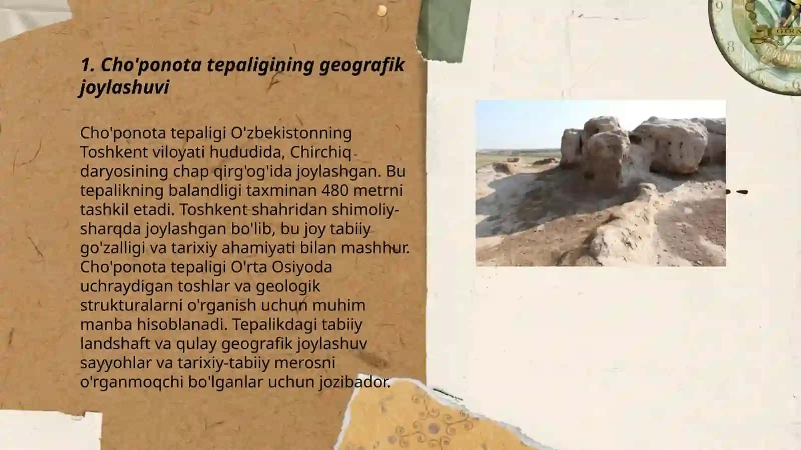 Cho'ponota tepaligini beogeografik xususiyati bilan tanishish 3