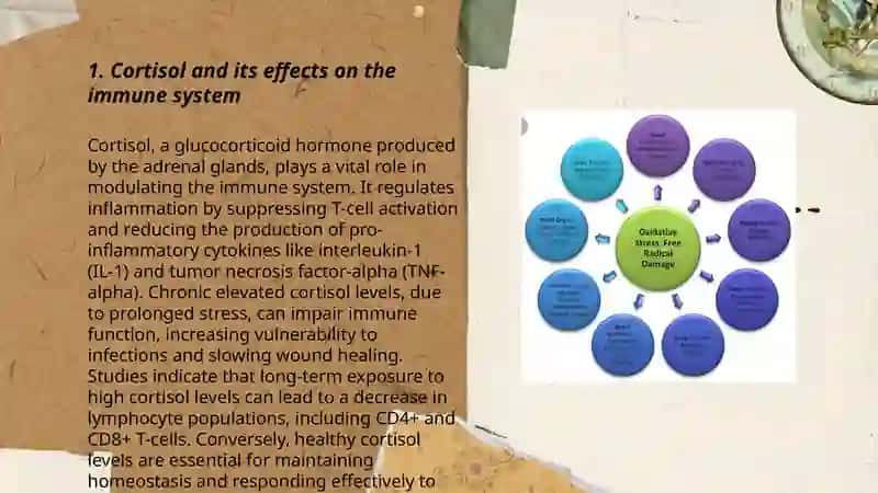Stress Causes Diseases by Gulchiroy Mamasharifova 3