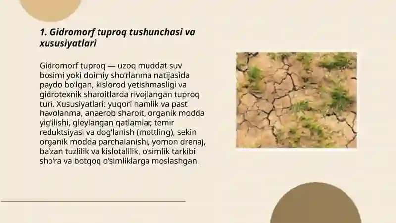 Gidromorf tuproqlar 3