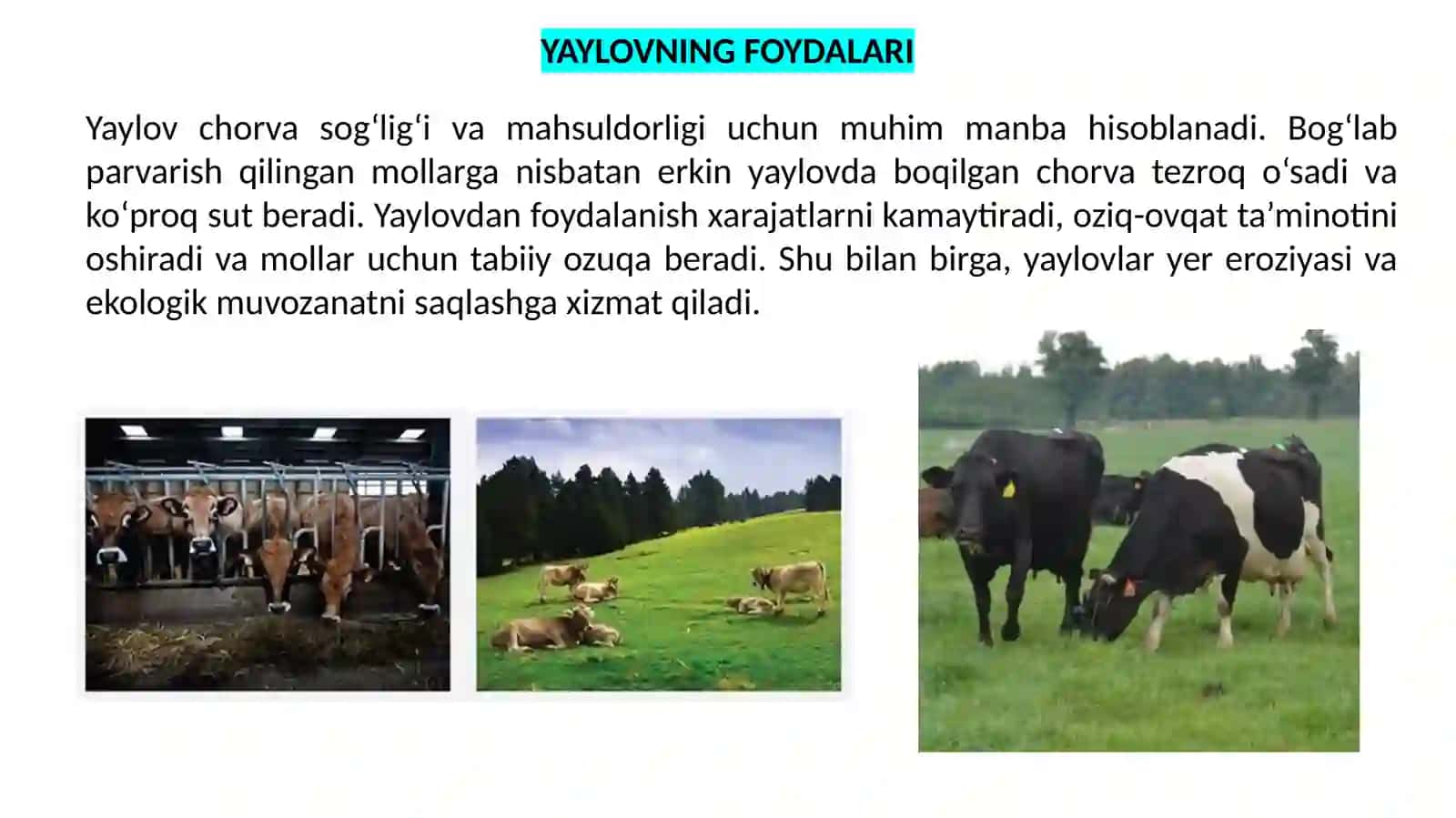 Yaylov O‘simliklari va Hayvonlari Hamda Ularning Geografik Tarqalishi Tahlili 3