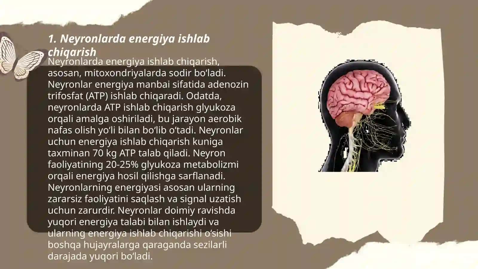 Nerv hujayralarida metabolizm jarayonlari 3
