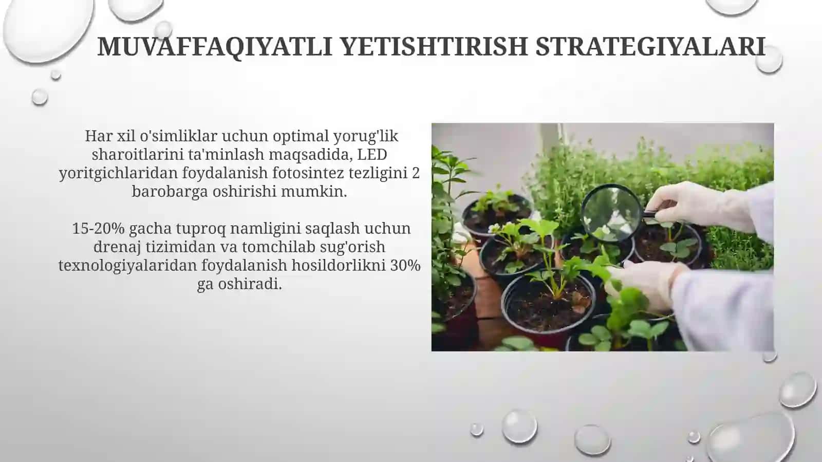 Turlimuhitsharoitidaoʻsimliklarnioʻstirish 3