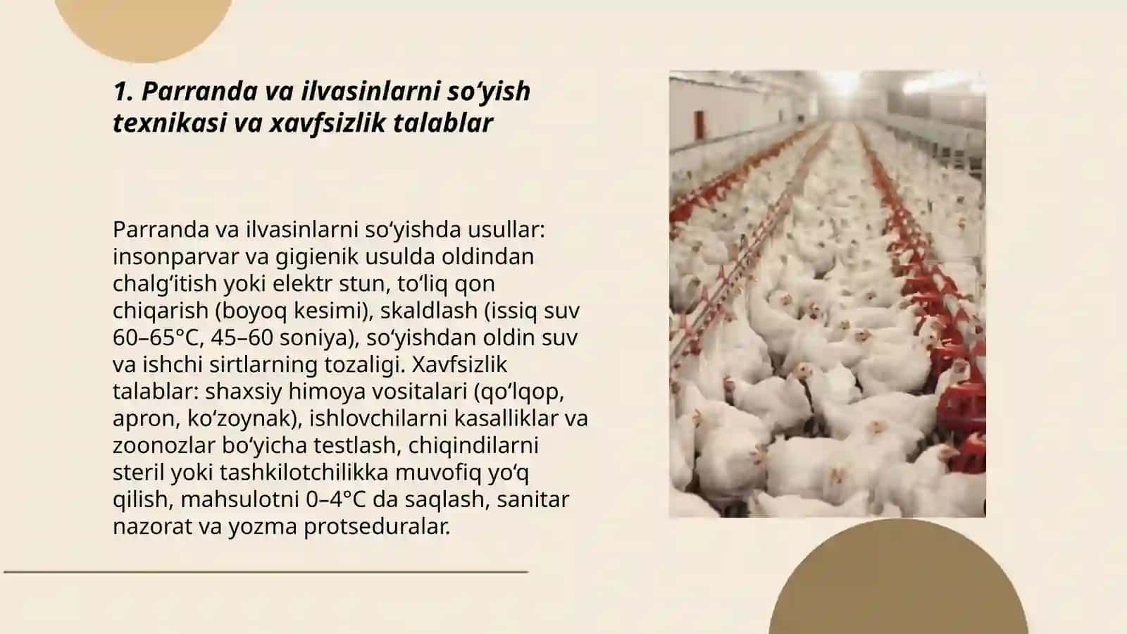 Parranda va ilvasinlarga dastlabki ishlov berish va ulardan yarim tayyor mahsulotlar tayyorlash 3