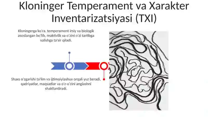Temperament va uning nazariyalari 3