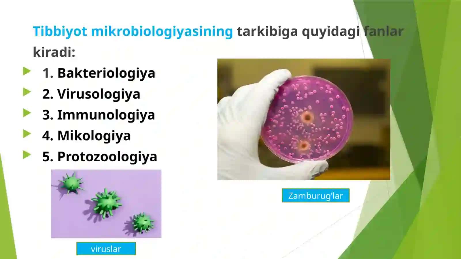 Tibbiyot mikrobiologiyasiga kirish 3
