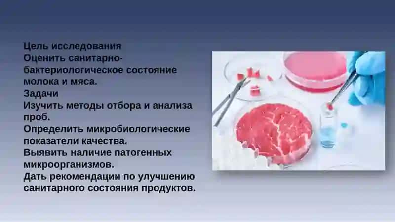 Санитарно-бактериологическая оценка и анализ пищевых продуктов (молока и мяса) 3