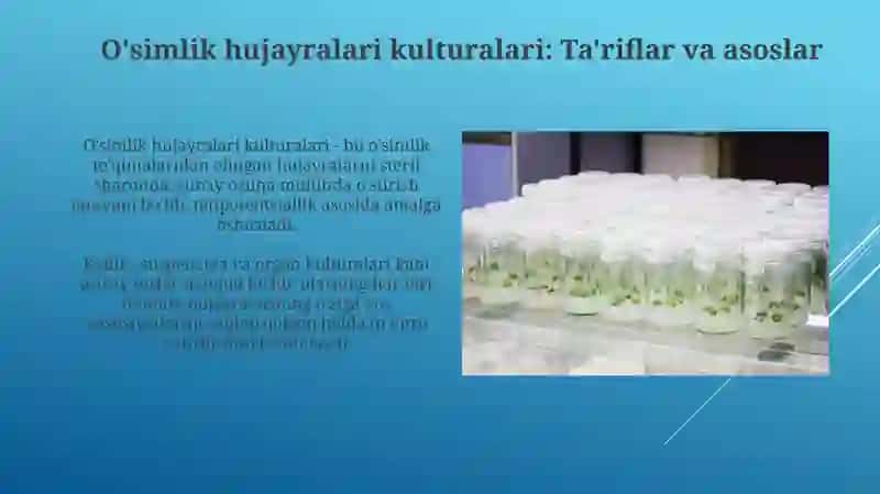 O'simlik hujayralari kulturalaridan sanoatda foydalanish 3