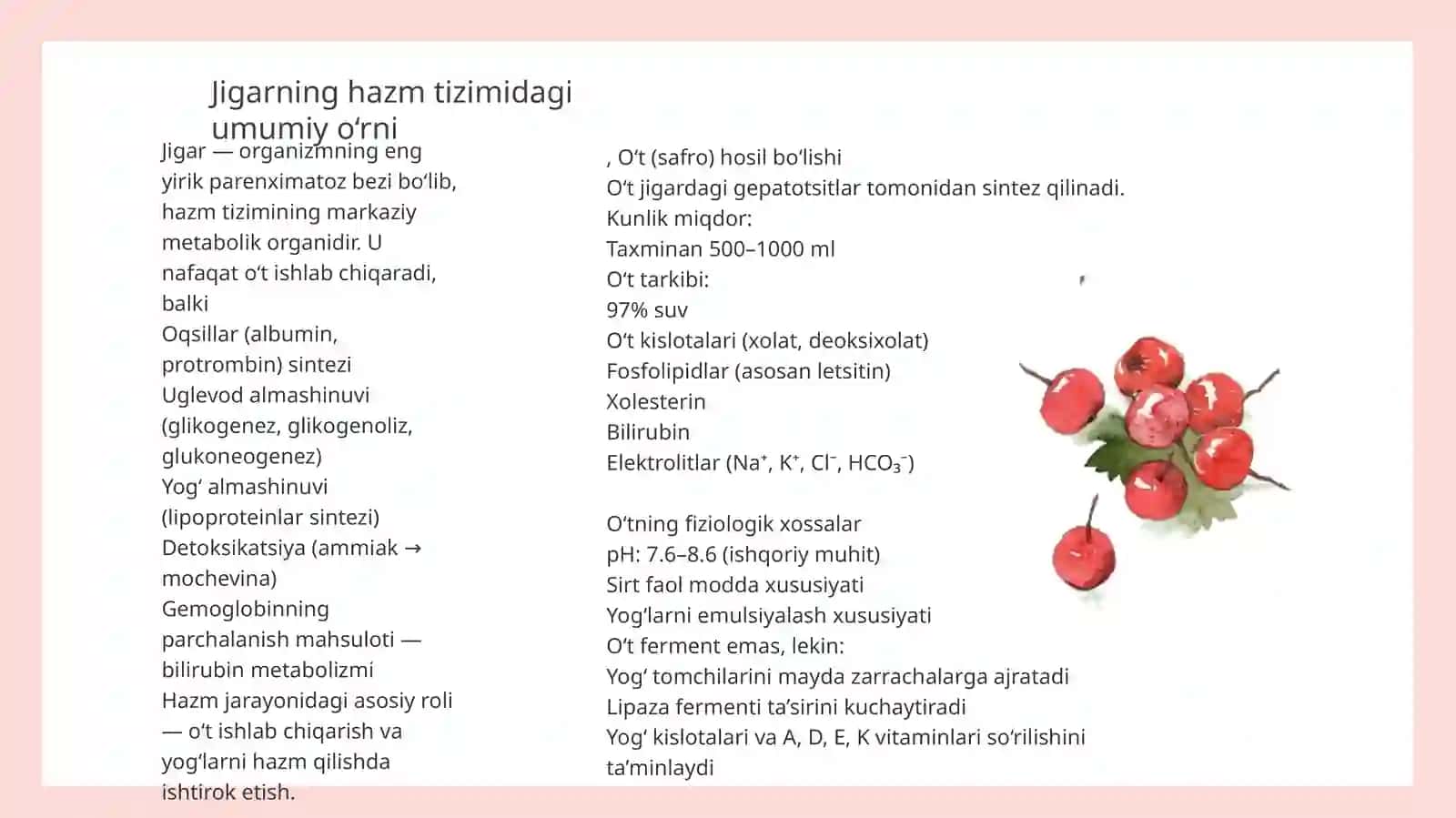 Jigarning hazm jarayonidagi roli va o‘t (safro) ajralish fiziologiyasi 3