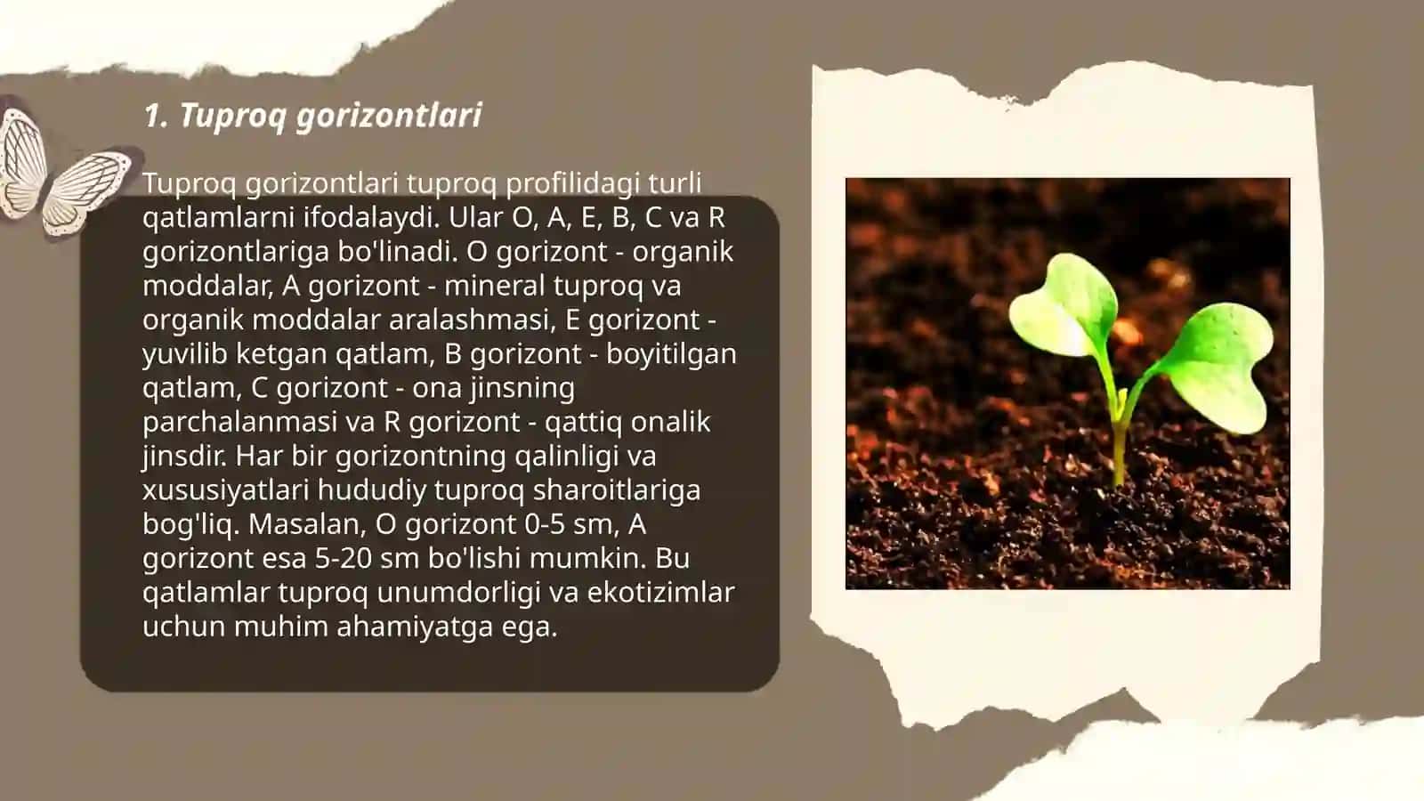 Tuproq morfologiyasini tahlil qilish 3