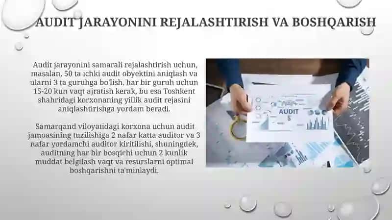 Ichki va Tashqi Auditlar 3