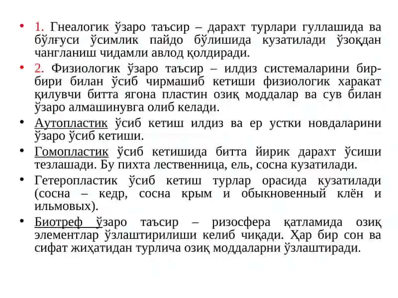 Ўрмонда дарахт турларини ўзаробир-бирига таъсири 3