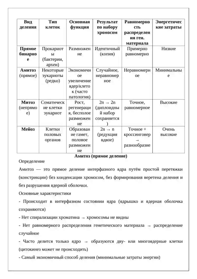 Виды деления клеток. Амитоз 3