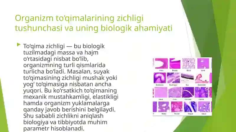 Organizm to’qimalarining zichligini aniqlash 3