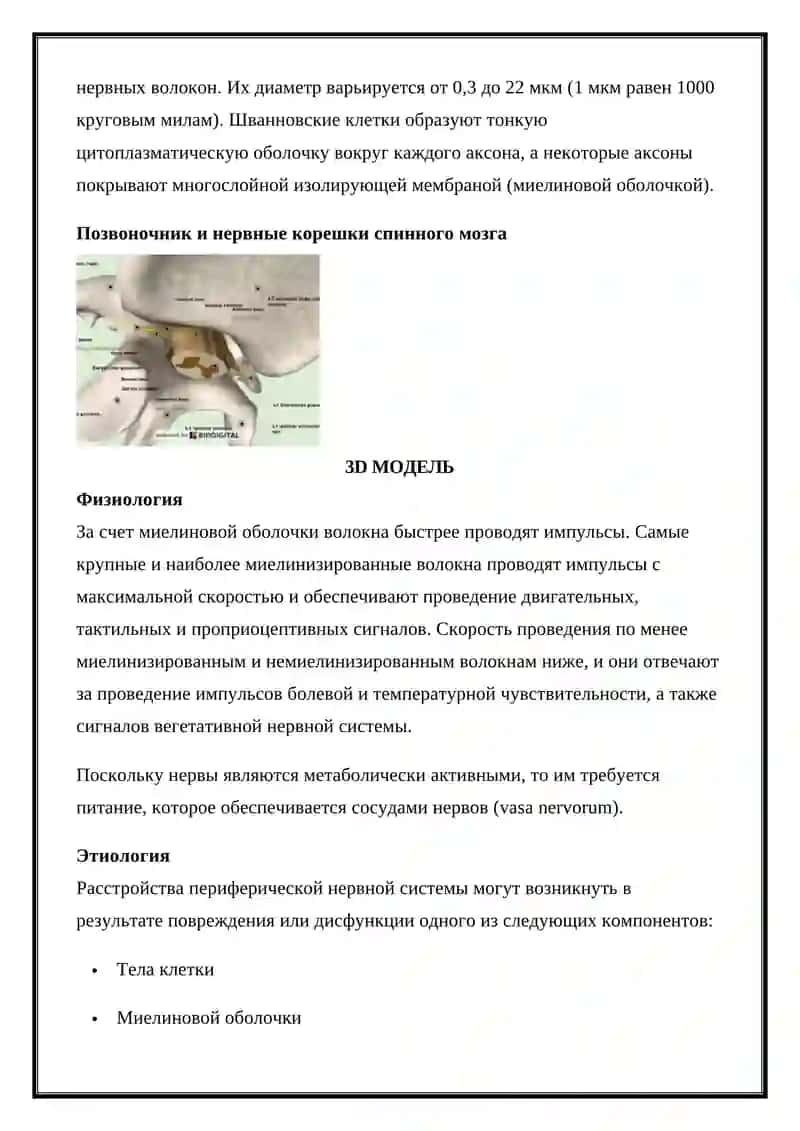 ЗАБОЛЕВАНИЯ ПЕРИФЕРИЧЕСКОЙ НЕРВНОЙ СИСТЕМЫ 3