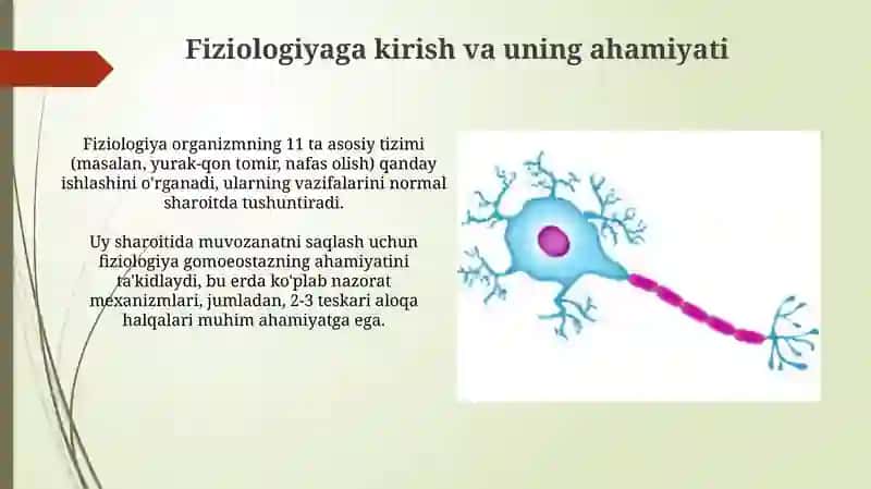 Fizologiya faniga kirish qon aylanish tizmining fizalogik asoslari 3