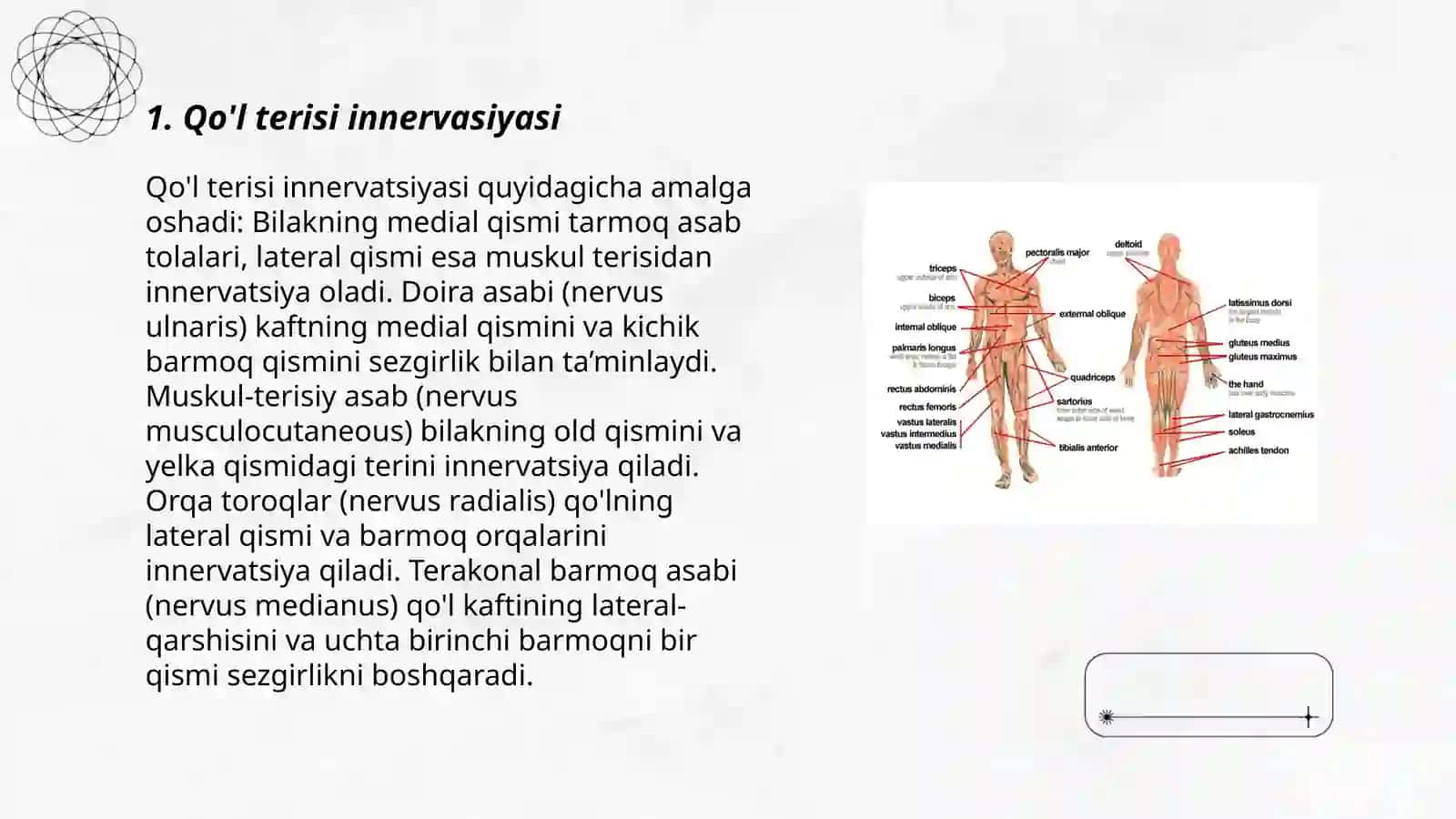 Qo'l va oyoq terisi va mushaklari innervasiyasining variant anatomiyasi 3