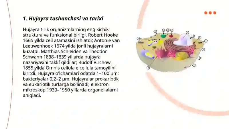 Hujayra elementlarning funkciyalari va gistologik strukturasi 3