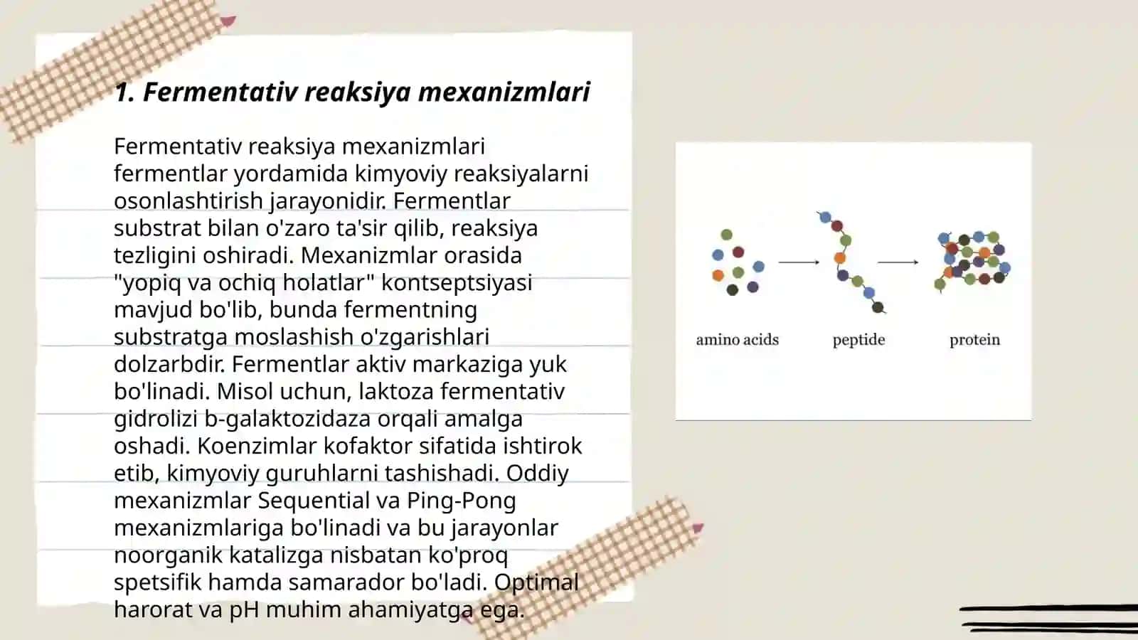 Norpulatov Rustam - Fermentlar yordamida aminokislotalar sintezi 3