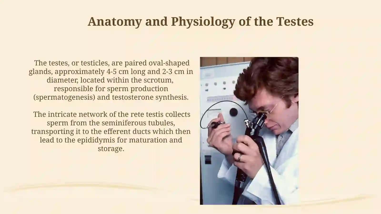 Diaginostic testis 3