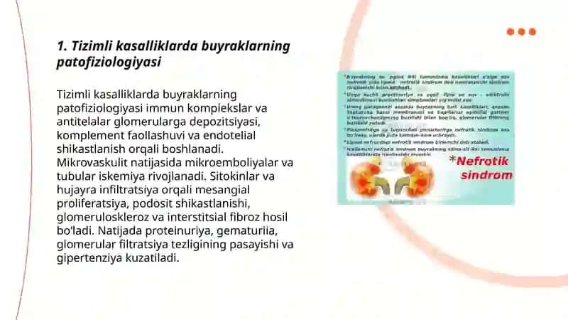 Tizimli kasalliklarda buyraklarning patofiziologiyasi 3