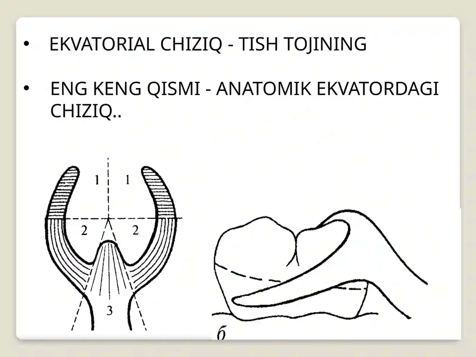 Tish ekvatori xakida tushuncha 3