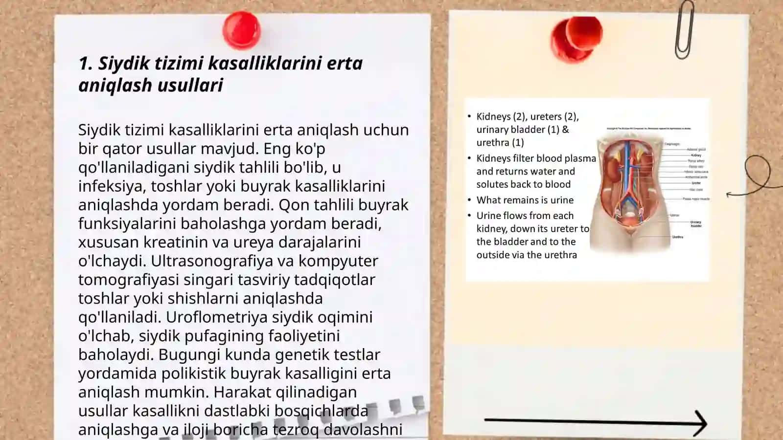 Buyraklar va siydik tizimi kasalliklari bo'lgan bolalarni parvarish_qilish 3