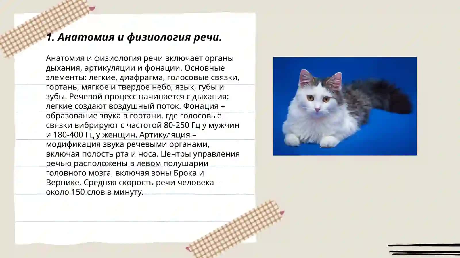 Нарушение речи и их виды 3