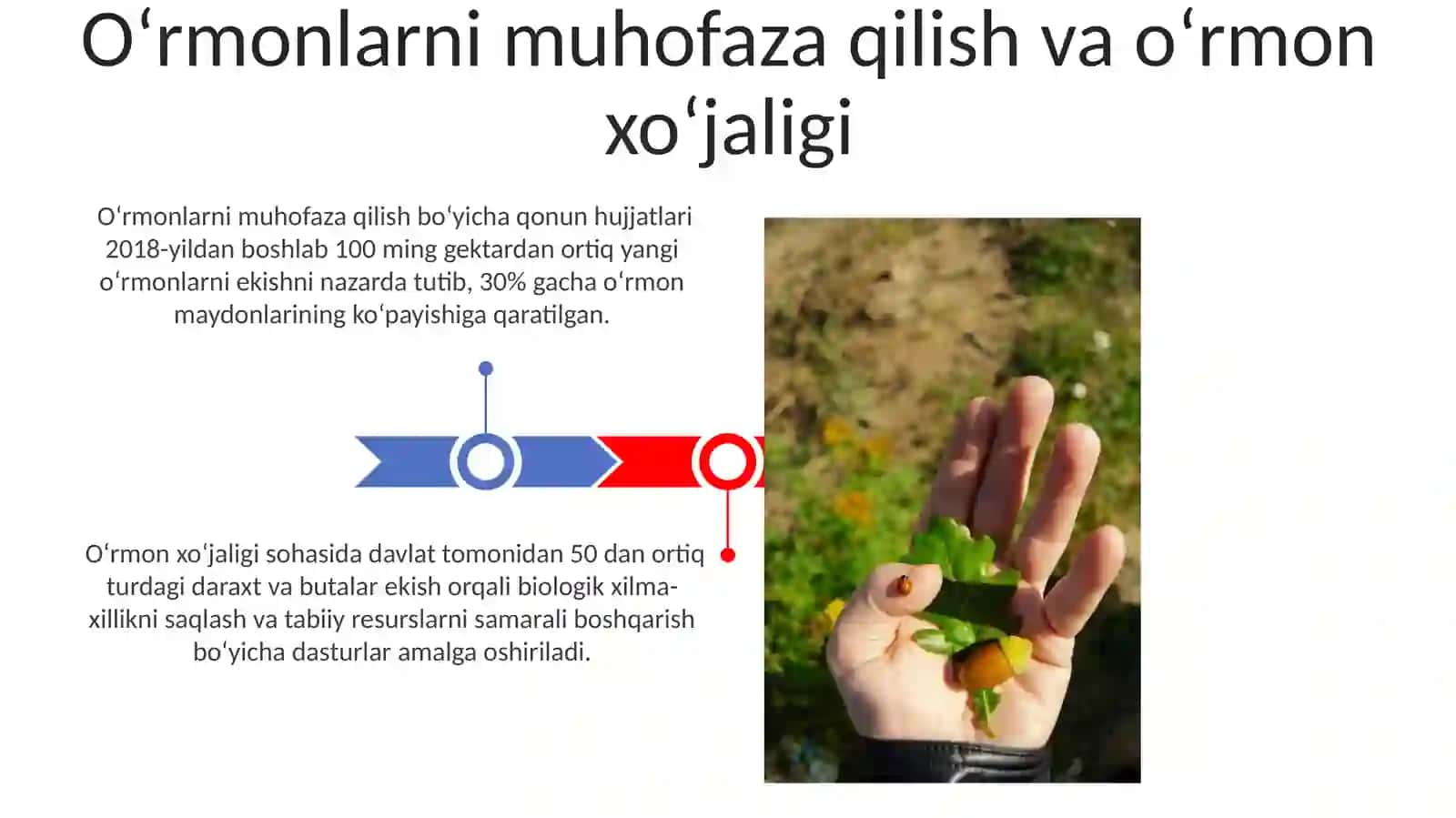 O'zbekiston Respublikasining Tabiatni Muhofaza Etishga Doir Qaror va Qonunlar 3