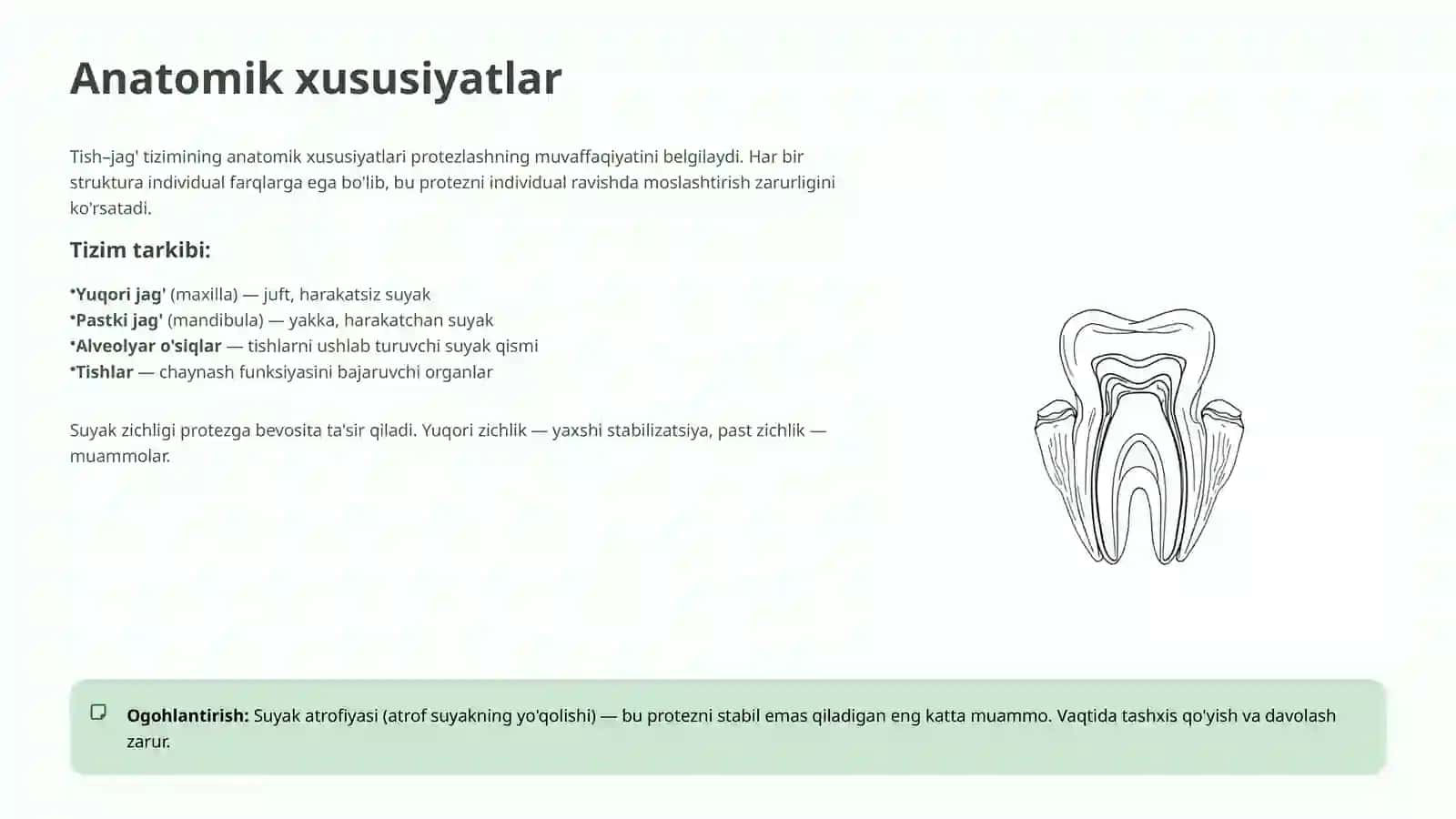 Protezlashga bog'liq tish–jag' tizimining anatomik va fiziologik xususiyatlari 3