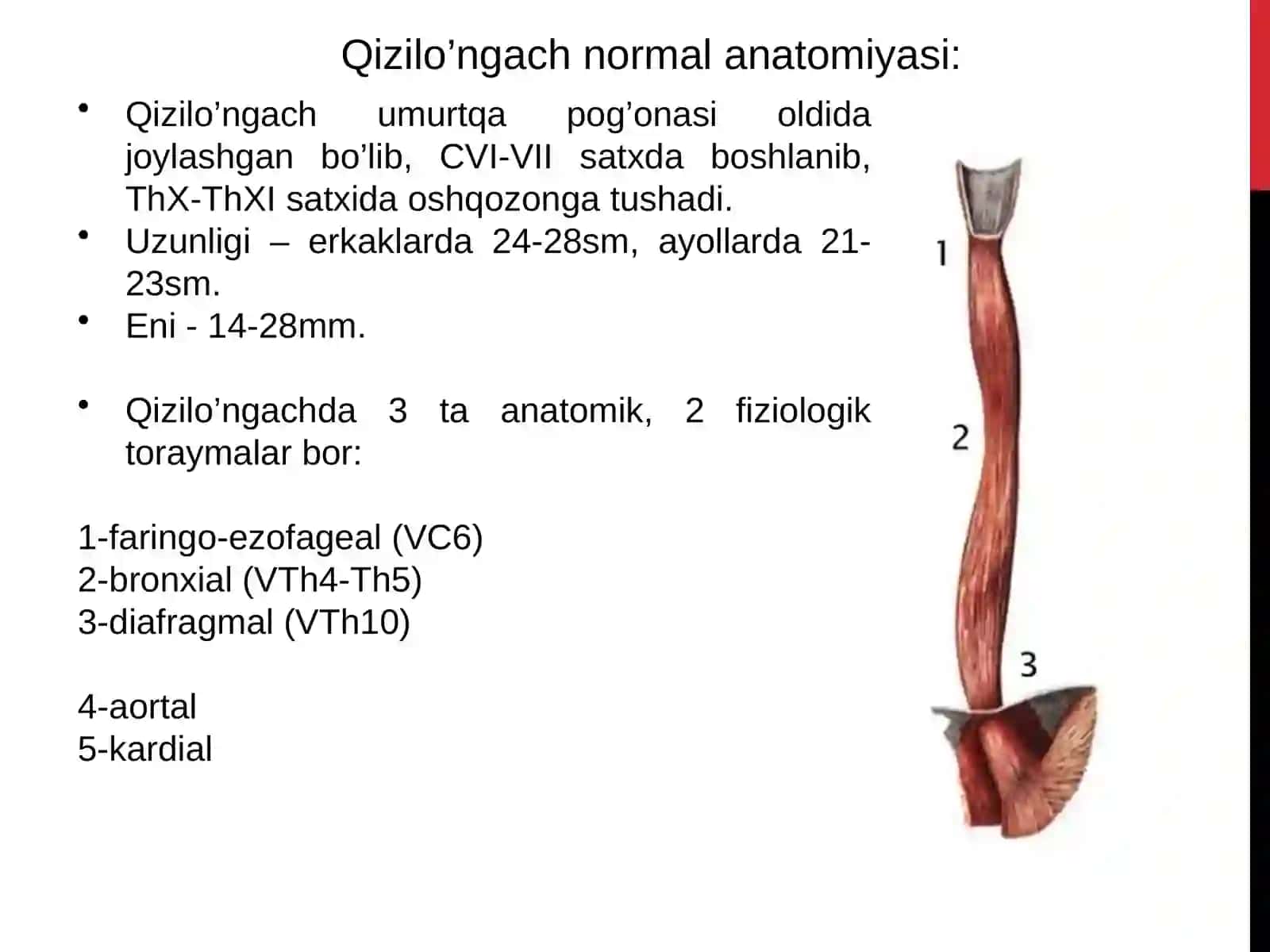 XAZM A’ZOLARI RADIOLOGIYASI 3