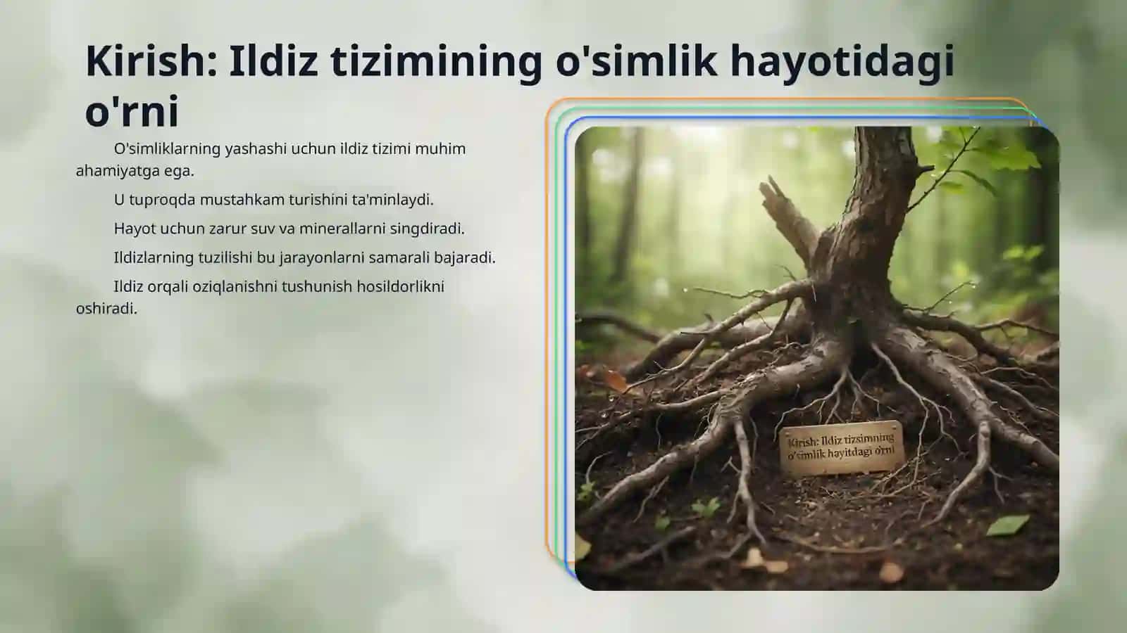 Oʻsimliklarning ildiz bilan oziqlanishi 3