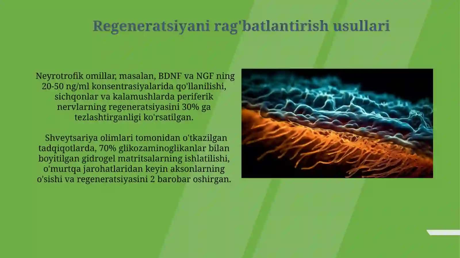Nerv to'qimasining degenerizatsiyasi va regenerizatsiyasi mexanizmlari 3