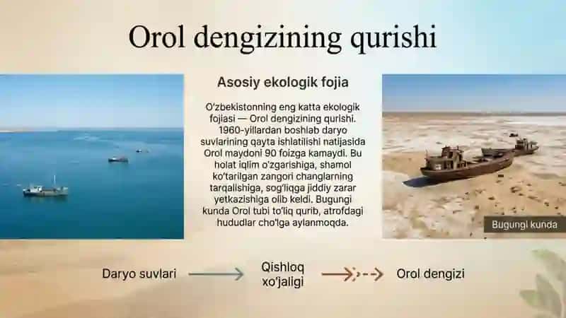 Oʻzbekistondagi ekologik muammolar 3