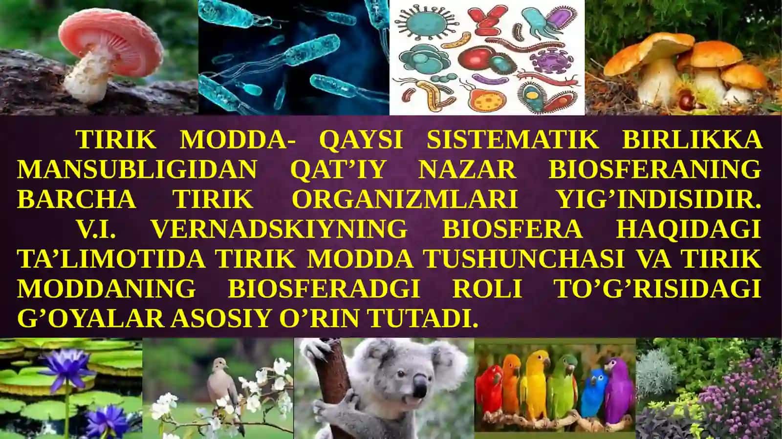 BIOSFERADAGI TIRIK MODDANING XUSUSIYATLARI VA FUNKSIYALARI 3