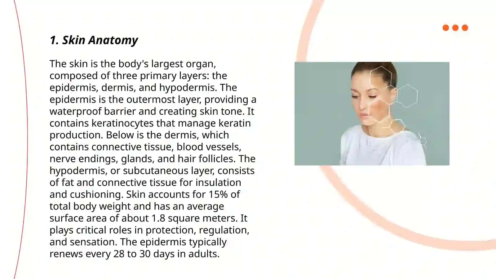 Derma Anatomy 3